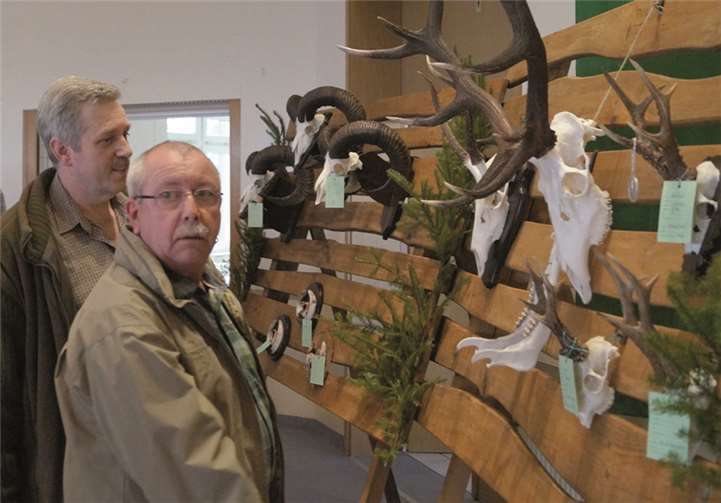 Die ausgestellten Trophäen gaben in Faid einen Einblick in die Stärke und den Wildbestand im Landkreis Cochem-Zell.