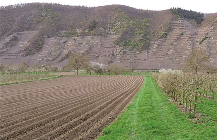 Die bei der Versammlung anwesenden FSV-Mitglieder votierten mit großer Mehrheit für den neuen Standort Dieblich-Dorf.Michael Wald