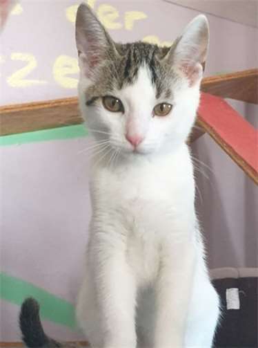 Die beiden Geschwistermädels sind im Mai geboren.