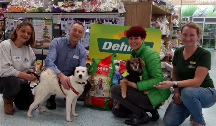 Die beiden Hunde Milo und Leave mit Stefani Engel und Nadine Ilg vom Tierheim Ransbach-Baumbach sowie Katja Beyer, Fachberaterin Zoo, und Marktleiter Markus Itzeck. Foto: privat