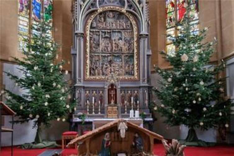 Die beiden geschmückten Weihnachtsbäume und die Krippe.