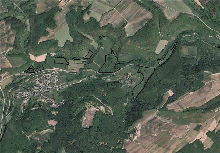 Die betreffenden Flächen im Elztal. Fotos: Landesvermessungsamt Rheinland-Pfalz