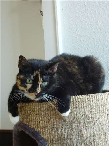 Die bildhübsche Meng.  Foto: privat