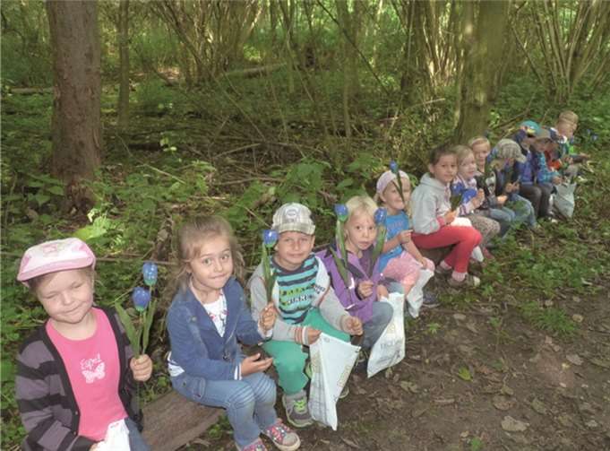 Die blauen Blumen mussten die Kinder zur Rettung der Farbe Blau finden. Nun sollen sie ihnen Glück bringen.