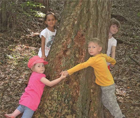 Die dicksten Bäume wurden von den Kindern im Wald gesucht und "Papa-" bzw. "Mama-Baum" genannt. privat