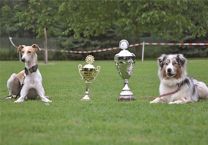 Die diesjährige Vereinsmeisterin wurde die Hündin Ayla sowie Jugendmeister Hund Nunjo.Privat
