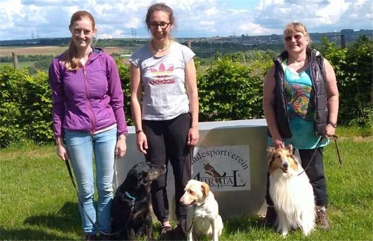 Die drei Teams freuten sich über die bestandene Prüfung. privat