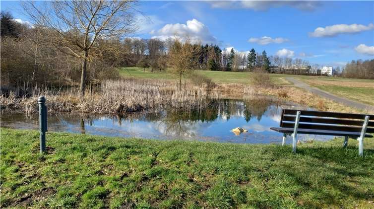 Die einzelnen Quellbäche münden in einen Bach der den „Lake Lupo“ mit Wasser versorgt.  Foto: privat