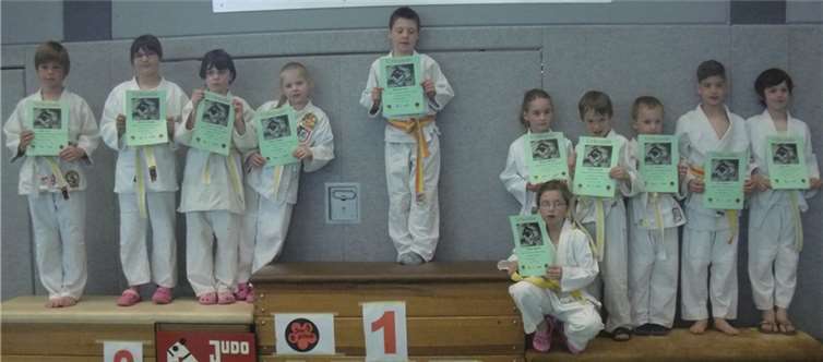 Die erfolgreichen Kämpferinnen und Kämpfer der U10 (v. l): Albert Lenz, Hannah Schöne, Cosima Heinrich, Eileen Eisfeld, Maximilian Vogt, Shannon Barkholz, Sherona Kostecki (sitzend), Matteo Trumpler, Max Fuhrmann, Tim Schwall, Julian Stein).Privat