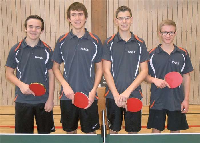 Die erste Jugendmannschaft ist in der Rückrunde in der Kreisliga aktiv.privat