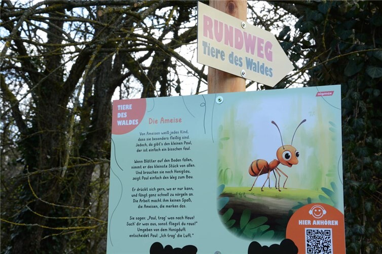 Kinderrundweg Tiere des Waldes in Volkesfeld – interaktives Naturerlebnis für Familien