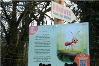 Kinderrundweg Tiere des Waldes in Volkesfeld – interaktives Naturerlebnis für Familien