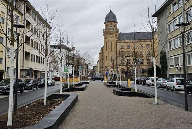 Die ersten Bäume in der Südallee sid gesetzt. Foto: Fraktion Bündnis 90/ Die Grünen