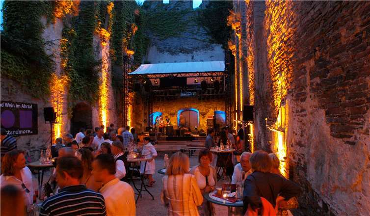 Die ersten Bands für das Festival 2019 in der Klosterruine stehen fest.privat