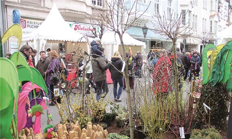 Die ersten Vorboten dess Frühlings zeigen sich.