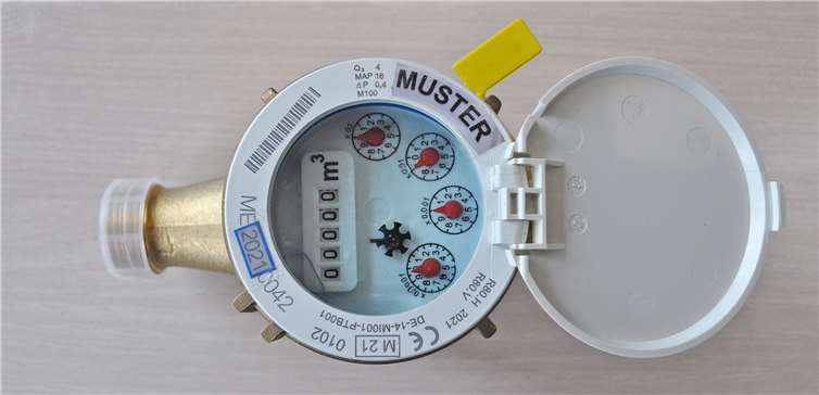 Die ersten vier Ziffern der Zählernummer auf dem Kunststoffring des Zählers stellen das Eichjahr dar. Foto: Stadt Meckenheim