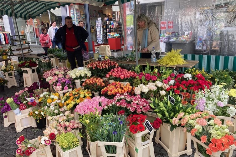 Die farbenfrohe Blütenpracht passend zum Frühling und den Osterfeiertagen konnte man in Mayen bewundern und käuflich erwerben.