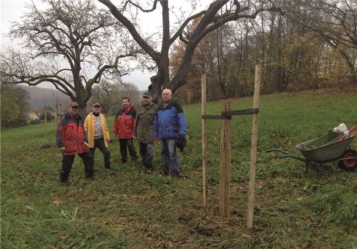 Die fleißige Pflanzkolonne (v.l.): Klaus Weinowski, Eberhard Ewert, Herbert Scholtes und Günther Schmidt, Reiner Schulz. Es fehlt Peter Weinowski.privat