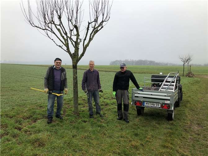 Die fleißigen Baum-Arbeiter.  Foto: privat