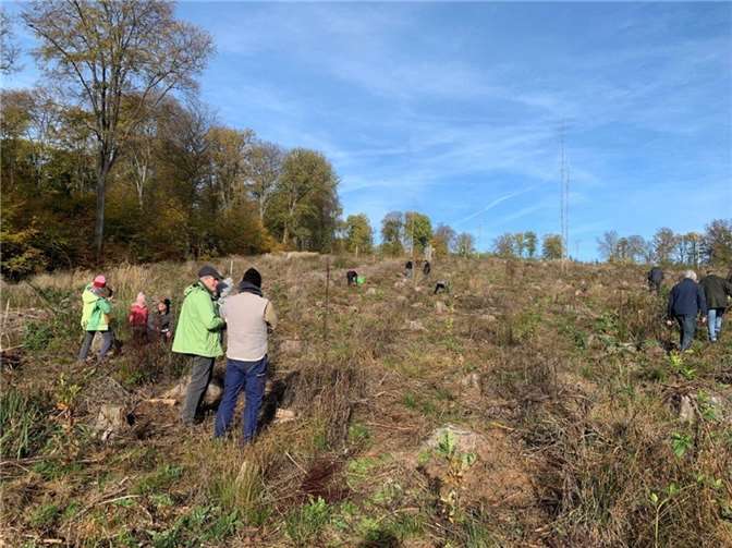 Die fleißigen Helfer hatten in kurzer Zeit einen Großteil der Kalamitätsfläche „aufgeforstet“