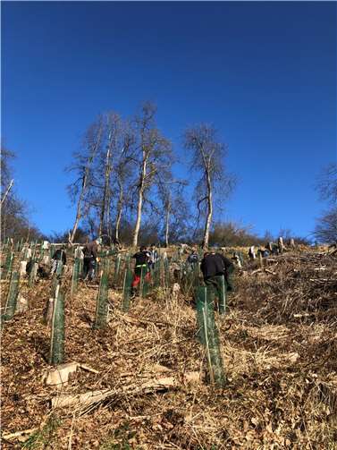 Die fleißigen Helfer im Wald.  Foto: privat