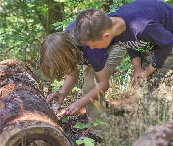 Die ganz kleinen Waldbewohner mussten etwas genauer unter die Lupe genommen werden.