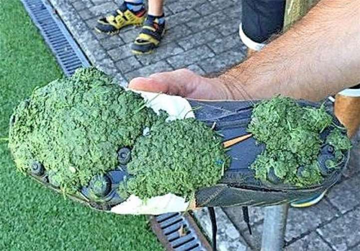 Die ganze Masse verklumpt auf dem Platz und setzt sich unter dem Schuhwerk fest.