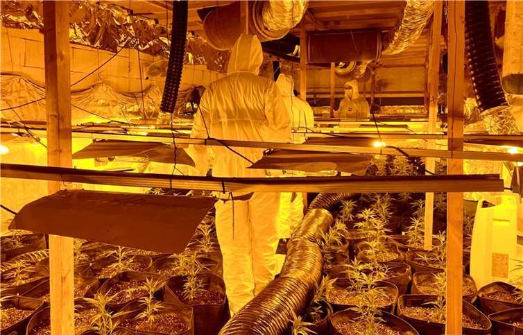 Mehrere hundert Pflanzen und umfangreiches Equipment sichergestellt Die gefundene Drogenplantage. Foto: Kreispolizeibehörde Euskirchen