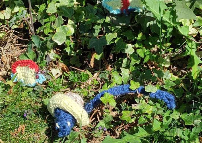 Die gehäkelten Prachtexemplare. Foto: privat