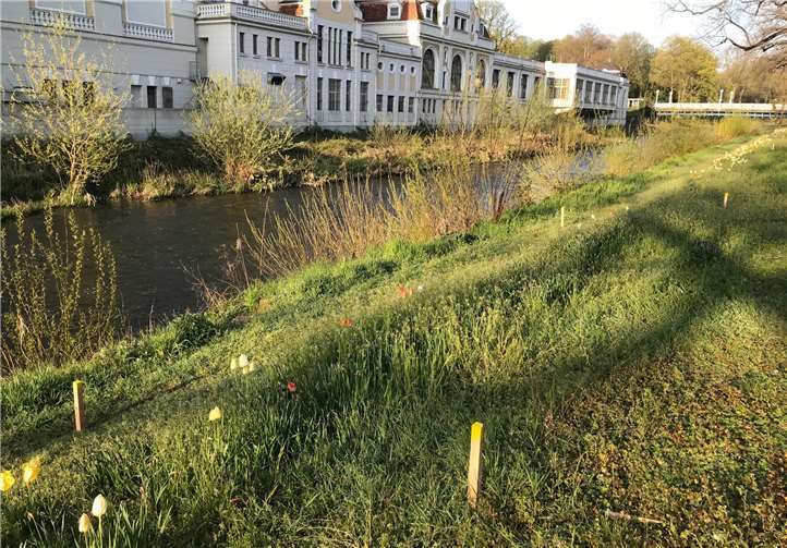 Die gekennzeichneten Pflegebereiche an der Ahr. Foto: privat