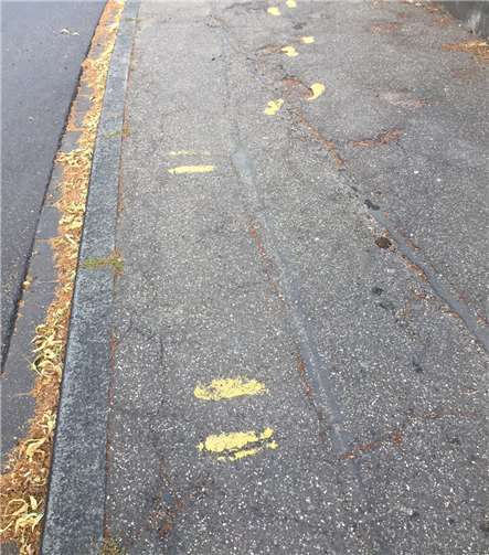 Die „gelben Füße“.Foto: privat