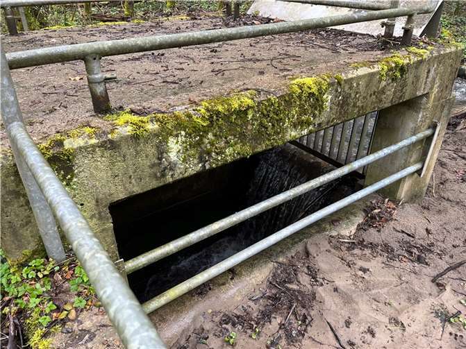 Die geplanten Maßnahmen werden erläutert.  Foto: privat