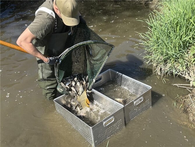 Die gesamte Fischbiomasse wurde auf etwa 250 bis 400 Kilogramm geschätzt. 