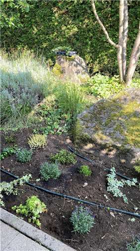 Die gespendeten Pflanzen sollen die Menschen im und am Hospiz erfreuen.