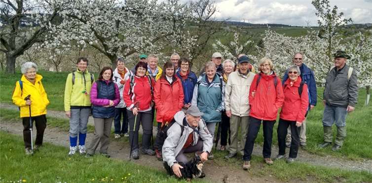 Die große Anzahl der B-Gruppen Wanderer freute sich über ein reiches Blütenmeer.privat