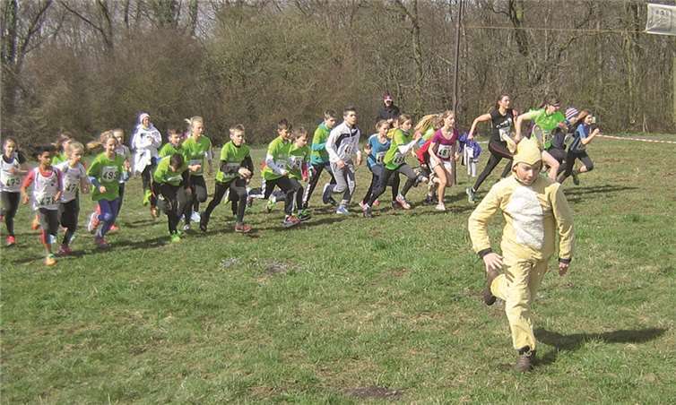 Die großen VfBler beim Start.