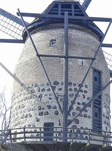 Die historische Windmühle aus dem 15. Jahrhundert in Zons.privat