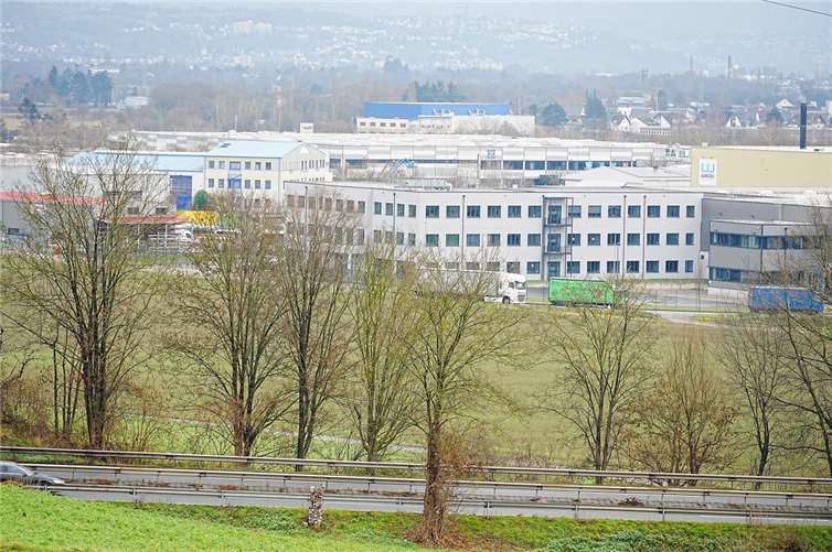 Die hohen Investitionen für den Grundstückankauf zur Erweiterung des Gewerbegebiets Friedrichshof sorgten für heftige Diskussionen im Stadtrat.  Fotos: FF