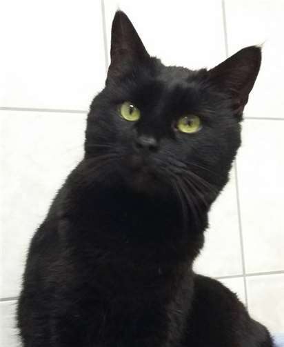 Die hübsche Luise möchte zu ihren Menschen zurück.privat