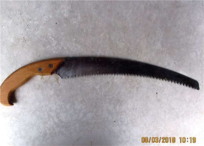 Die japanische Astsäge.Ulrich Junker