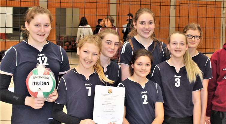 Die jugendlichen Volleyballerinnen des Rhein-Gymnasiums Sinzig.privat