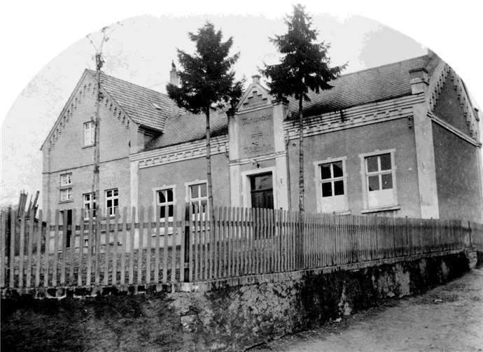 Die junge Eiche vor dem TV-Gebäude.