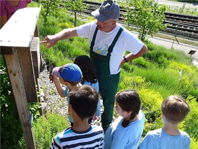 Die jungen Entdecker vor dem Insektenhotel. Foto: privat