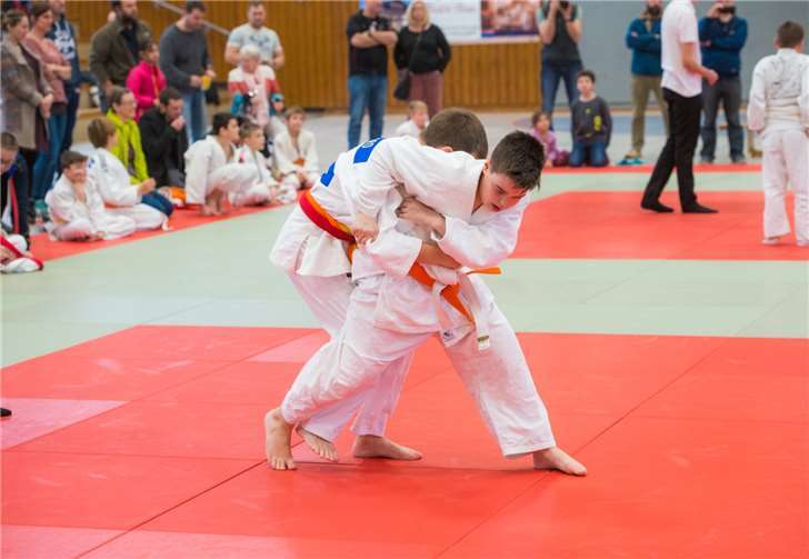 Die jungen Judoka des TV Cochem zeigten gute Leistungen.Foto: TV Cochem