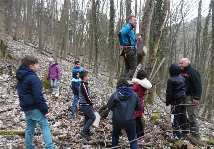 Die jungen Naturschützer waren sehr engagiert bei der Sache.