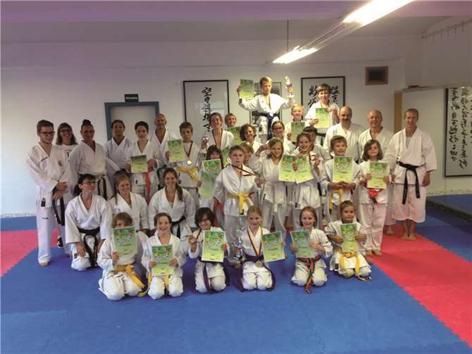 Die jungen Sportler des Karate Dojo Mayen-Mendig zeigen viel Einsatz beim Kids-Cup.  privat