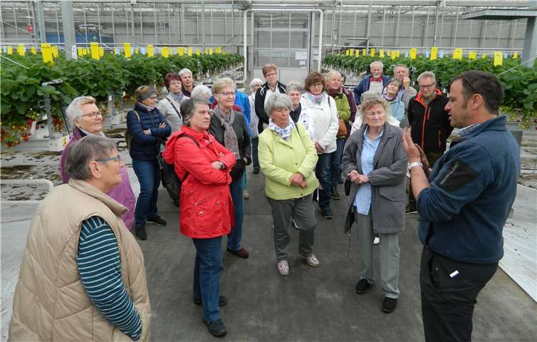 Die kfd Heimerzheim besuchte den Erdbeerhof Hensen.Foto: privat