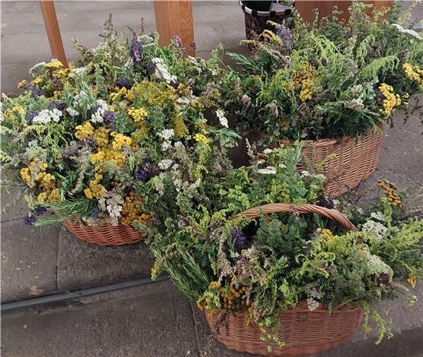 Die kfd Miesenheim lädt alle Frauen zur diesjährigen Kräutersegnung ein. Foto: privat