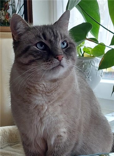 Die kleine Mimi ist wieder zu Hause. Foto: privat