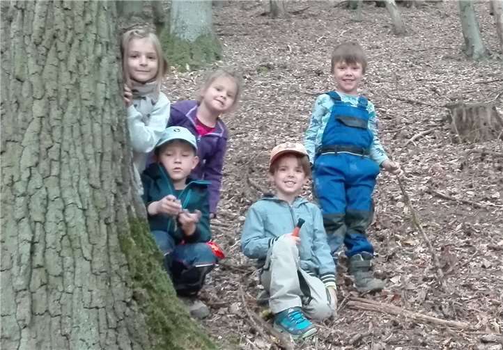 Die kleinen Waldfüchse auf Entdeckungstour unterwegs im Wald. privat